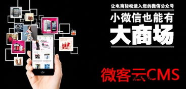 河南鄭州u劵云淘客加卡密加線上商城系統app開發